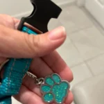 Personalizzato incisione animale domestico ID nome Tag cane anti-perso collare personalizzato guinzaglio accessori Cat ID telefono Tag pendente decorazioni per cuccioli photo review