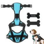 Pettorina per cani personalizzata NO PULL Pettorina per animali traspirante con adorabile pettorina personalizzata per cani di piccola taglia, media e grande - immagine 2