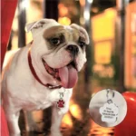 Personalizzato incisione animale domestico ID nome Tag cane anti-perso collare personalizzato guinzaglio accessori Cat ID telefono Tag pendente decorazioni per cuccioli - immagine 2