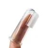 transparent