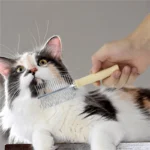 Attrezzatura per la toelettatura del cane pettine per peli di animali domestici pettine per peli di gatto manico in legno pettine per gatti spazzola per cani per capelli lisci accessori per cani - immagine 3