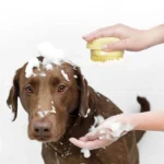 Spazzola da bagno in silicone per cani e gatti per animali domestici spazzola da bagno morbida per la cura del massaggio può riempire la spazzola per palline da bagno liquida accessori per animali domestici strumento per cani e gatti - immagine 2