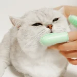 Spazzolino da denti a doppio dito Super morbido per cani e gatti - immagine 2