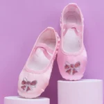 Scarpe da Ballo per Bambini con Suola Morbida e Ricamo Arcobaleno - Scarpe da Ginnastica per Yoga e Balletto - immagine 3