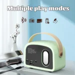 Mini Radio Retrò Bluetooth – Ricevitore FM Portatile con Altoparlante TWS, AUX/USB/TF e Microfono Integrato - immagine 2