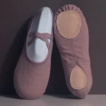 Sweltering - Scarpe da Ballo Morandi in Tela per Donna e Bambina, Suola Morbida per Balletto e Allenamento - immagine 4