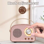 Mini Radio Retrò Bluetooth – Ricevitore FM Portatile con Altoparlante TWS, AUX/USB/TF e Microfono Integrato - immagine 5
