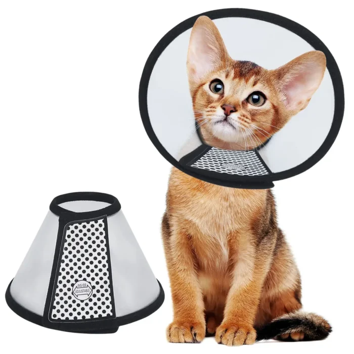 Elizabeth Circle Pet Cover Protettiva per Cani e Gatti - Collare Anti-Morso per Animali, Accessorio per Gattini - immagine 2