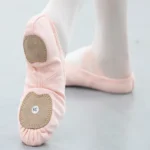Scarpe da Balletto Professionali per Donna in Tela Elasticizzata, Pantofole da Danza a Punta con Rete – Scarpe da Ballo per Danza Classica e Moderna - immagine 6