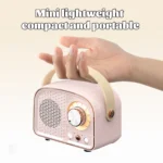 Mini Radio Retrò Bluetooth – Ricevitore FM Portatile con Altoparlante TWS, AUX/USB/TF e Microfono Integrato - immagine 6