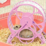 Ruota da Corsa Silenziosa per Criceto con Supporto Anti-Jamming - Giocattolo per Criceti Golden Bear - immagine 2