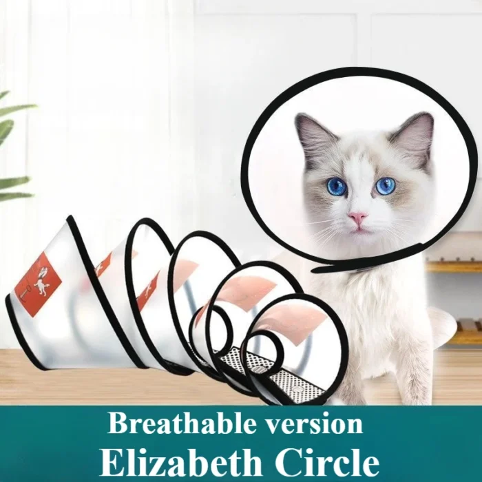 Elizabeth Circle Pet Cover Protettiva per Cani e Gatti - Collare Anti-Morso per Animali, Accessorio per Gattini - immagine 1