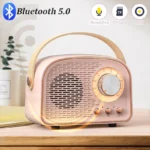 Mini Radio Retrò Bluetooth – Ricevitore FM Portatile con Altoparlante TWS, AUX/USB/TF e Microfono Integrato