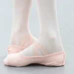 Scarpe da Balletto Professionali per Donna in Tela Elasticizzata, Pantofole da Danza a Punta con Rete – Scarpe da Ballo per Danza Classica e Moderna - immagine 5