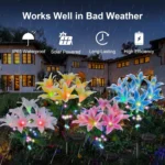 DBF – Lanterna Solare a Fiori di Giglio con LED (7 Teste) per Decorazione Giardino - immagine 2