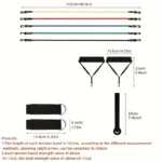 FlexBand – Fascia di Resistenza Multifunzione per Allenamento Completo - immagine 2