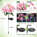 DBF – Lanterna Solare a Fiori di Giglio con LED (7 Teste) per Decorazione Giardino - immagine 4