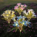 DBF – Lanterna Solare a Fiori di Giglio con LED (7 Teste) per Decorazione Giardino