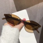 Arvin ChicOvale – Occhiali da Sole Ovali Donna Stile Sexy Nero e Marrone Estate 2024 - immagine 4