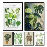 FajerminArt – Poster Botanico su Tela senza Cornice, Stampa Verde Foglia Naturale per Arredo Moderno da Interni