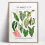 FajerminArt – Poster Botanico su Tela senza Cornice, Stampa Verde Foglia Naturale per Arredo Moderno da Interni - immagine 5