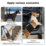 Imbracatura di sollevamento per cani anziani posteriore - immagine 5