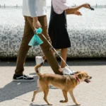 Dispenser portasacchetti igienici per cani con clip luminosa - immagine 6