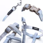 Pettorina regolabile con guinzaglio per cani e gatti piccoli - immagine 3