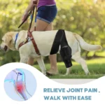 Ginocchiera per cani per gamba lesa con supporto stabile - immagine 5