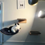 Gradini da parete per gatti in legno con tappetino antigraffio - immagine 2