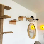 Gradini da parete per gatti in legno con tappetino antigraffio - immagine 6