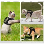 Gilet tattico per gatti e cani con imbracatura e guinzaglio - immagine 3