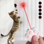 Puntatore laser ricaricabile per gatti e cani con 5 giochi di luce