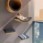 Gradini da parete per gatti in legno con tappetino antigraffio