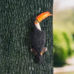 Figurina tucano in resina per albero e giardino - immagine 4