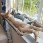 Amaca da finestra per gatti con lettino sospeso - immagine 4