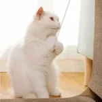 Tiragraffi in cartone a L per gatti grande/piccolo - immagine 3
