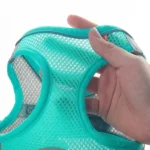 Set imbracatura e guinzaglio per cani di piccola taglia - immagine 3