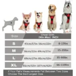 Set collare e guinzaglio in pelle per cani piccoli e medi - immagine 6