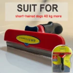 xlshort-hair-dogs