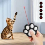 Puntatore laser ricaricabile per gatti e cani con 5 giochi di luce - immagine 2