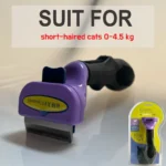 sshort-hair-cats