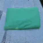 fruit-green