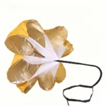 yellow-silvercoating